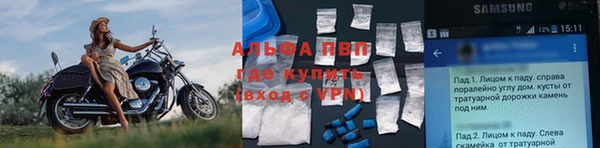 шишки Няндома