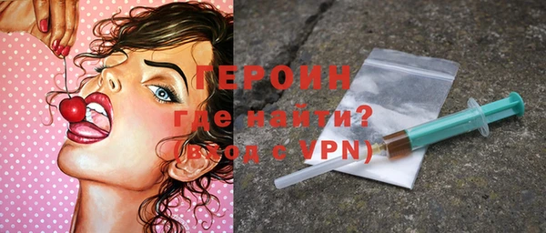 шишки Няндома
