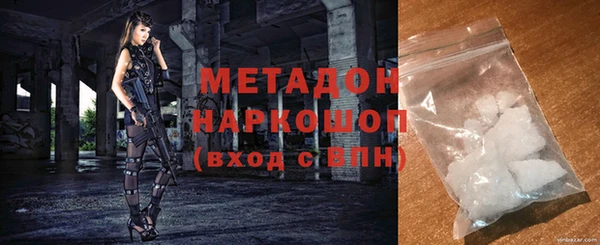 шишки Няндома